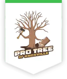 The Pro Tree of Knoxville logo